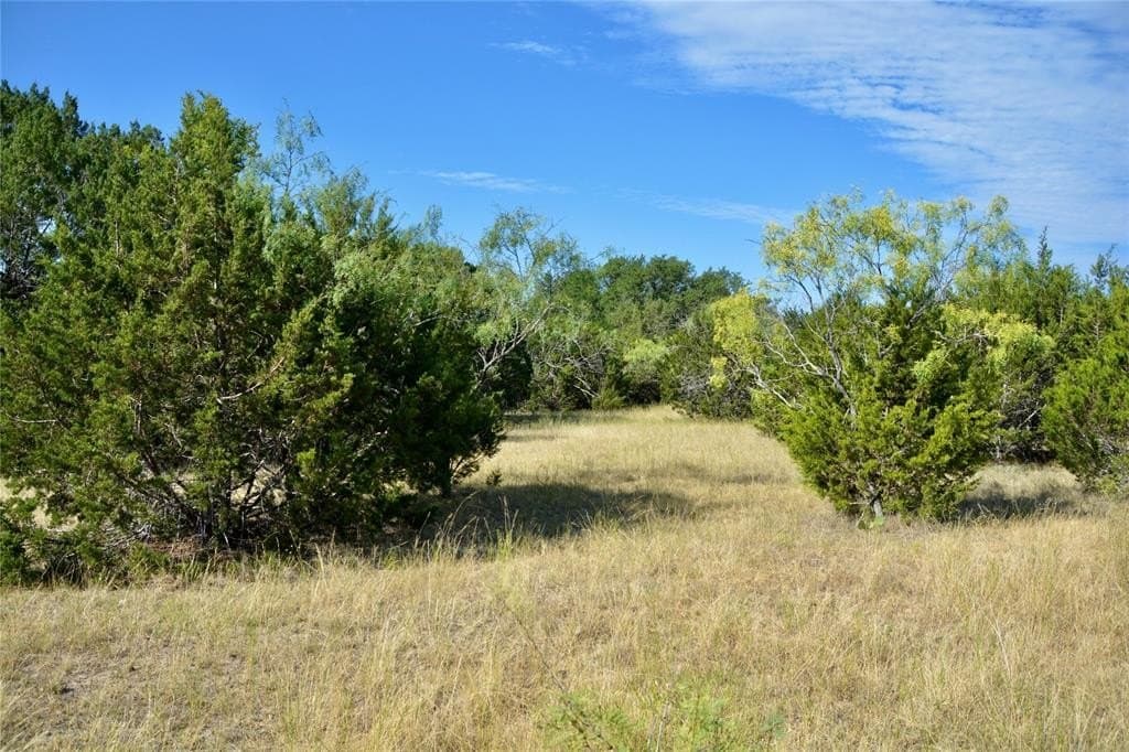 55 acres in Lampasas County - photo 22