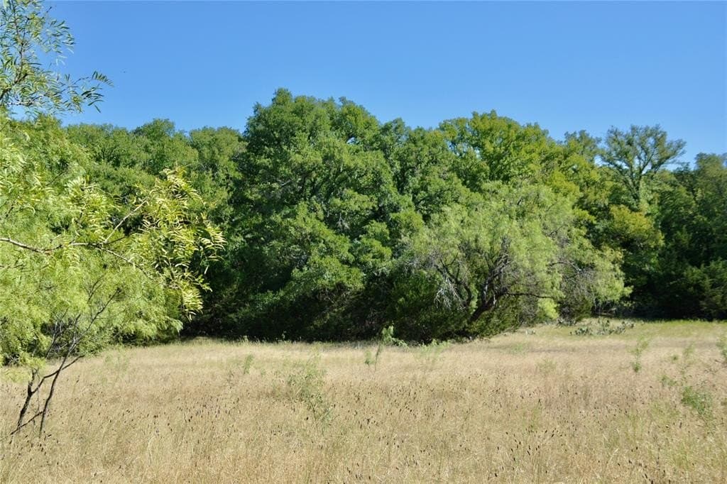 55 acres in Lampasas County - photo 3