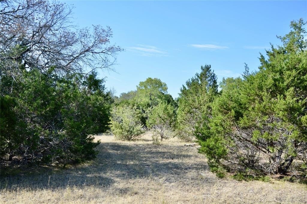 55 acres in Lampasas County - photo 31