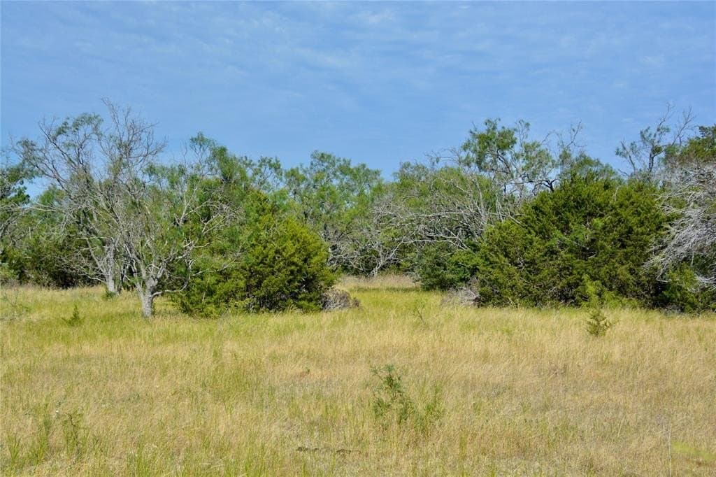 55 acres in Lampasas County - photo 21