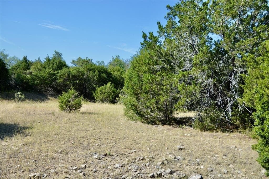 55 acres in Lampasas County - photo 8