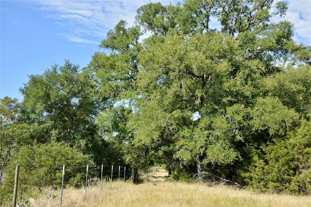 55 acres in Lampasas County - photo 13
