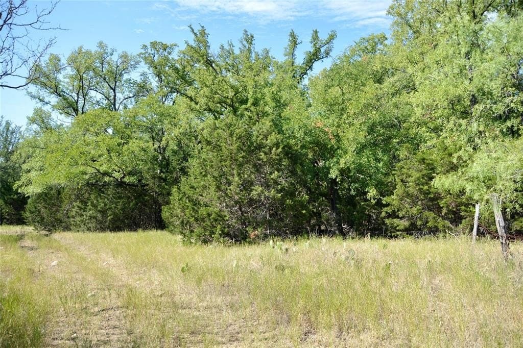 55 acres in Lampasas County - photo 11
