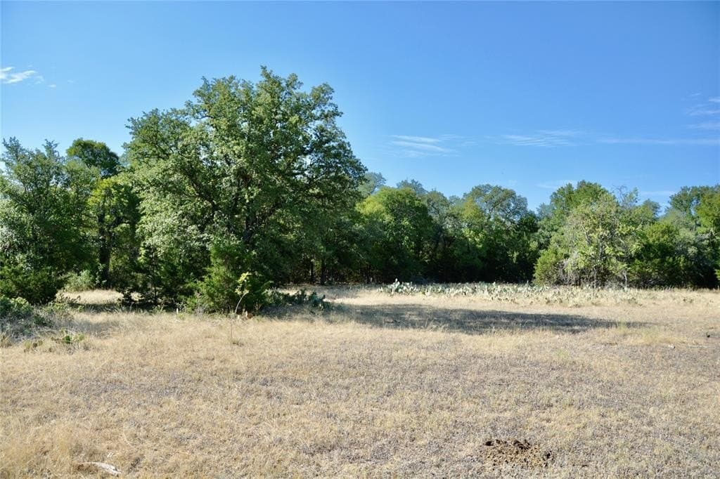 55 acres in Lampasas County - photo 29