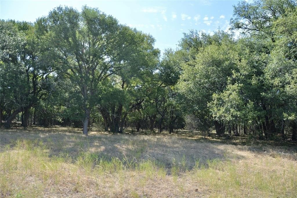 55 acres in Lampasas County - photo 5