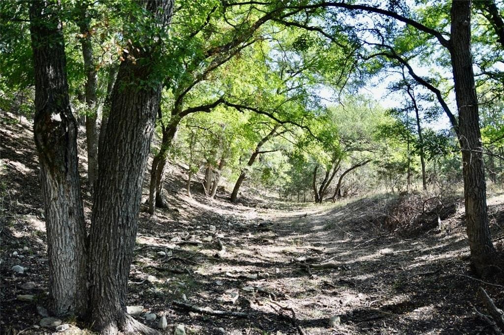 55 acres in Lampasas County - photo 14