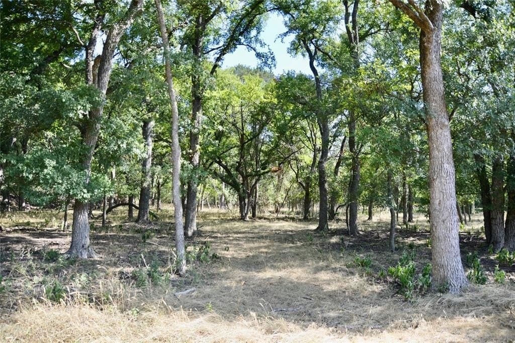 55 acres in Lampasas County - photo 17