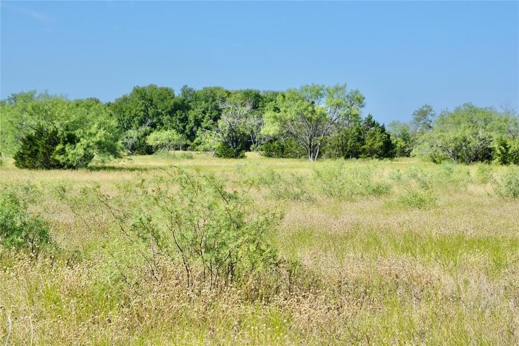 55 acres in Lampasas County - photo 9