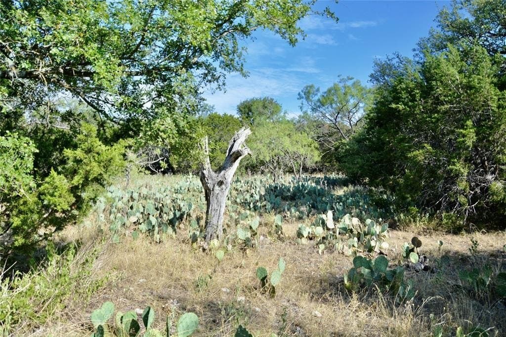 55 acres in Lampasas County - photo 25