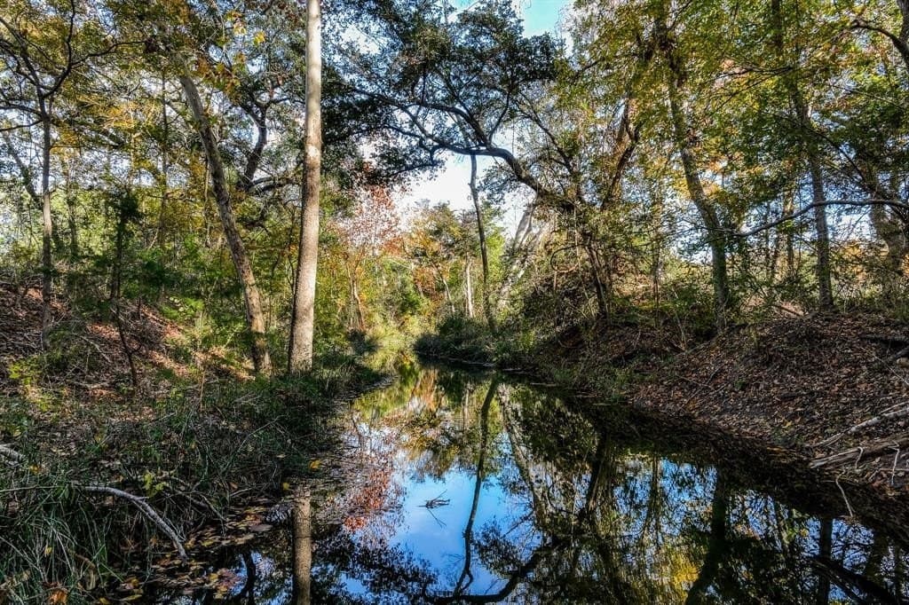 184 acres in Washington County - photo 6