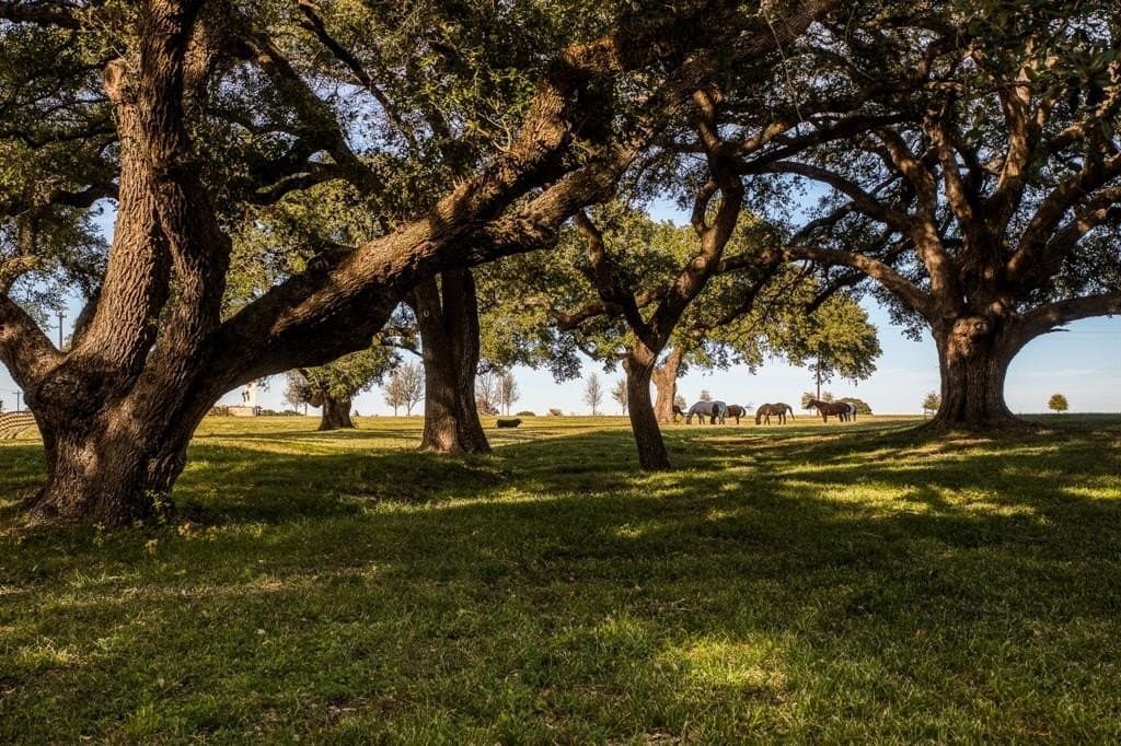 184 acres in Washington County - photo 4