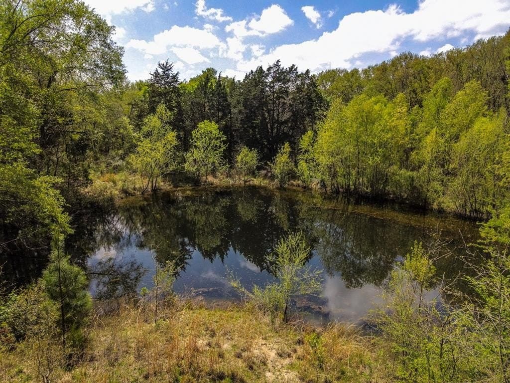 56.08 acres in Van Zandt County - photo 33