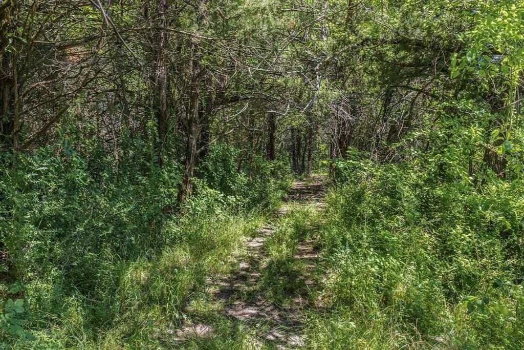 20 acres in Van Zandt County - photo 21