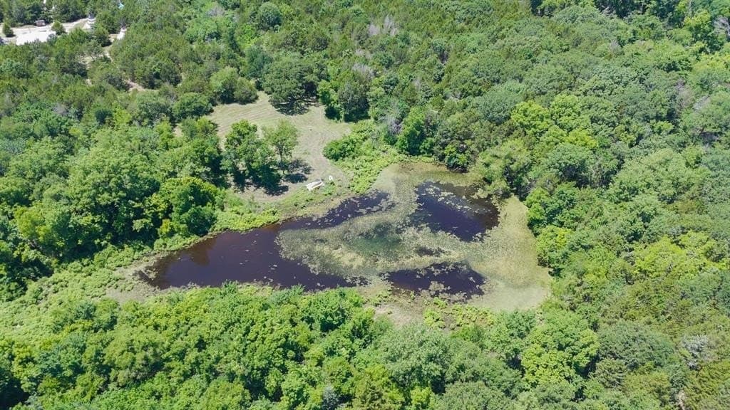 20 acres in Van Zandt County - photo 13