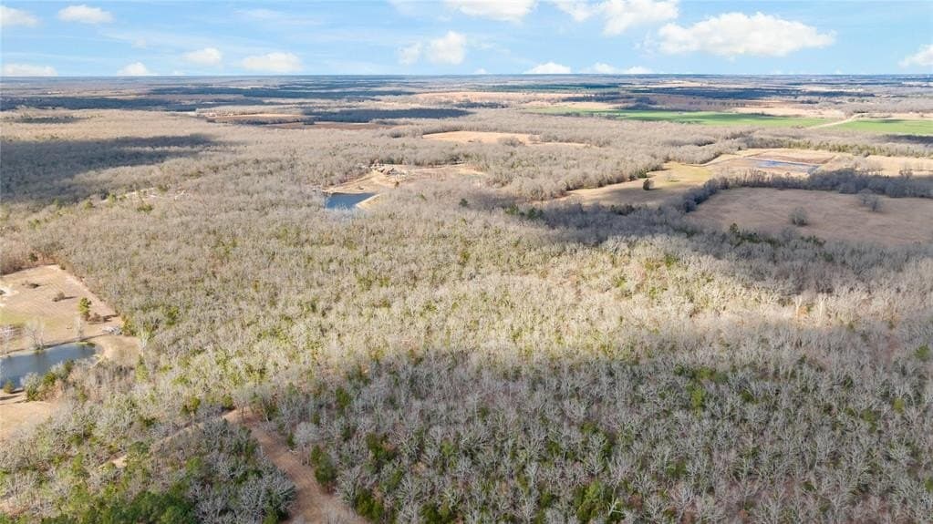 303 acres in Red River County - photo 3
