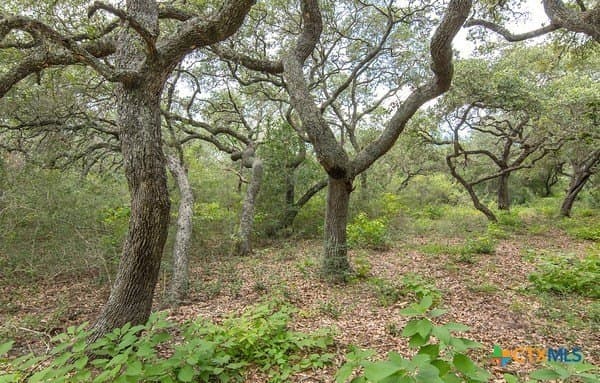 16.09 acres in Jackson County - photo 4