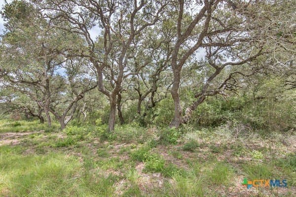16.09 acres in Jackson County - photo 2