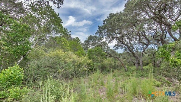 16.09 acres in Jackson County - photo 5