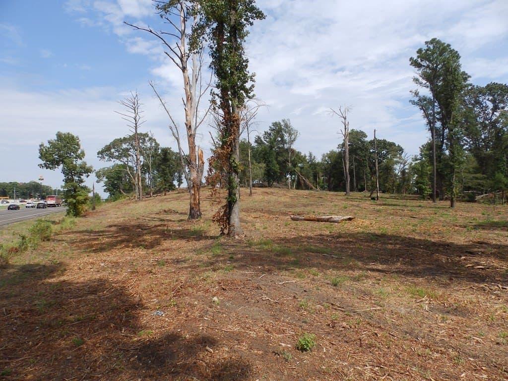 13 acres in SMITH County - photo 45