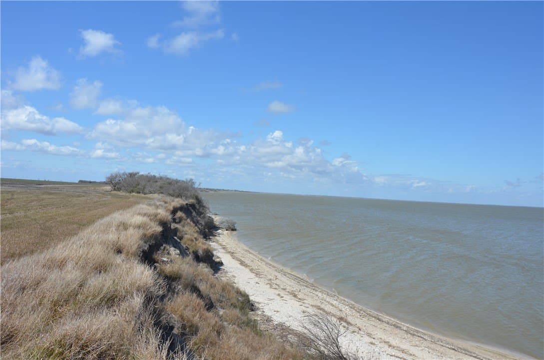 174.4 acres in Refugio County - photo 4