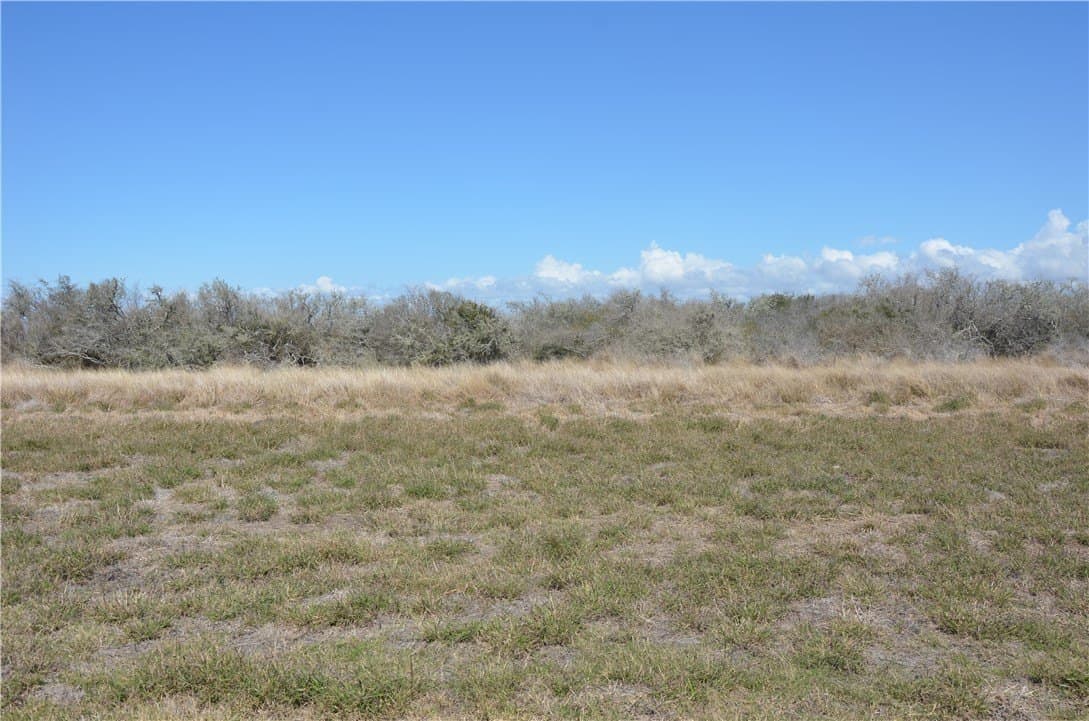 174.4 acres in Refugio County - photo 28