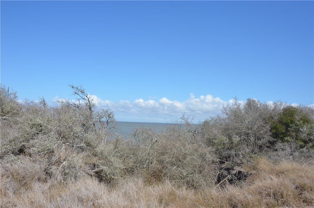 174.4 acres in Refugio County - photo 30