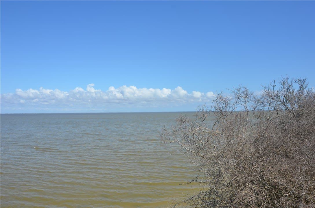 174.4 acres in Refugio County - photo 8