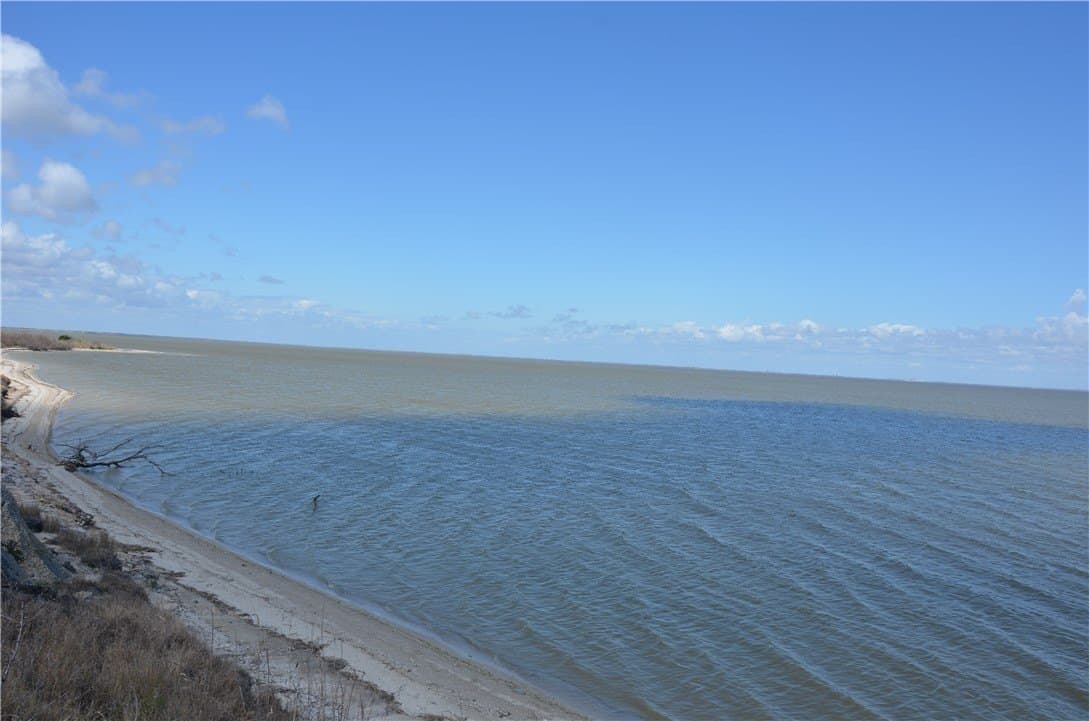 174.4 acres in Refugio County - photo 7