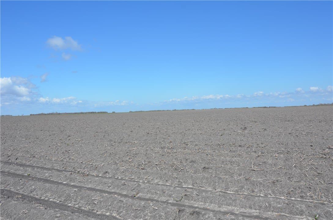 174.4 acres in Refugio County - photo 16