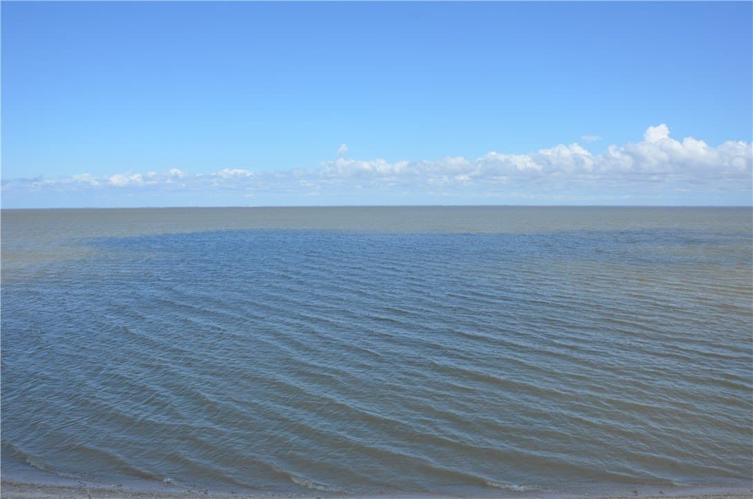 174.4 acres in Refugio County - photo 5