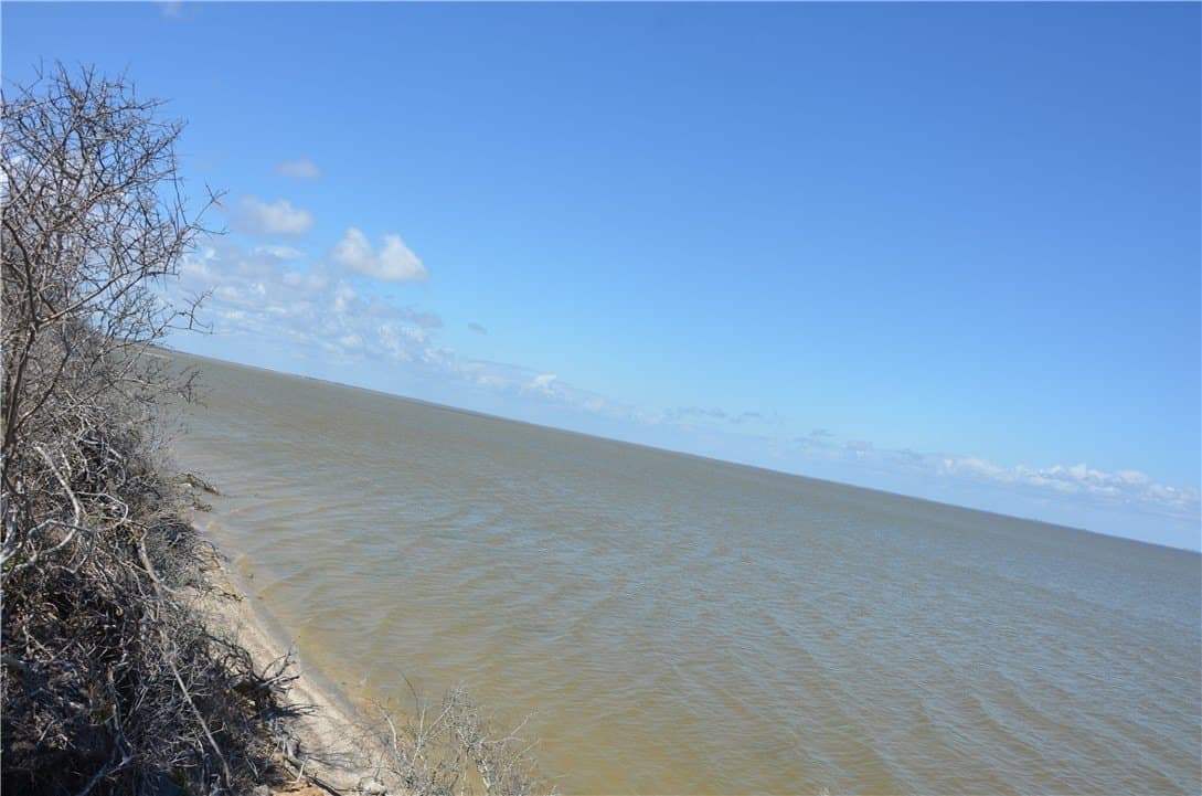 174.4 acres in Refugio County - photo 3
