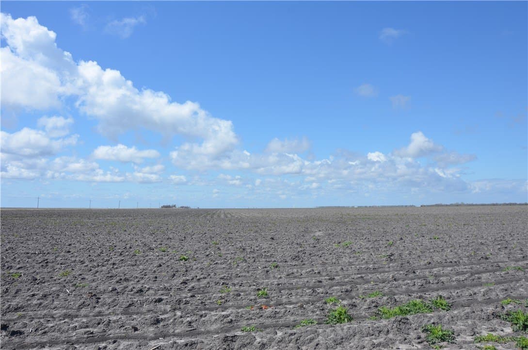174.4 acres in Refugio County - photo 22