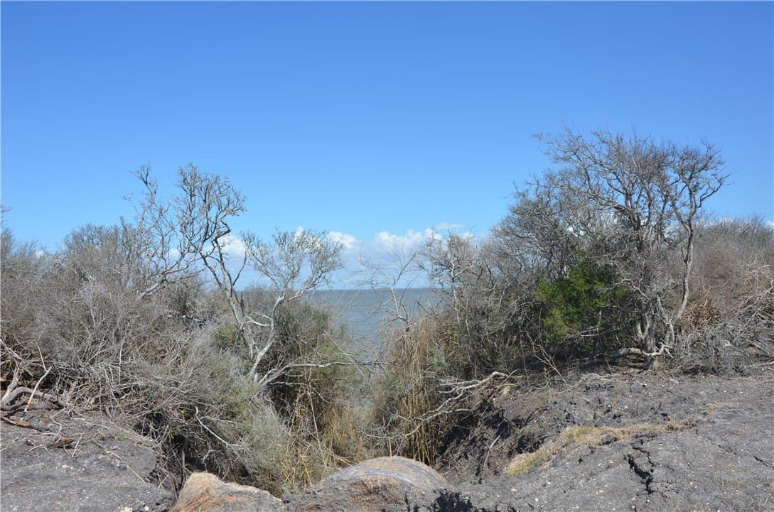 174.4 acres in Refugio County - photo 25