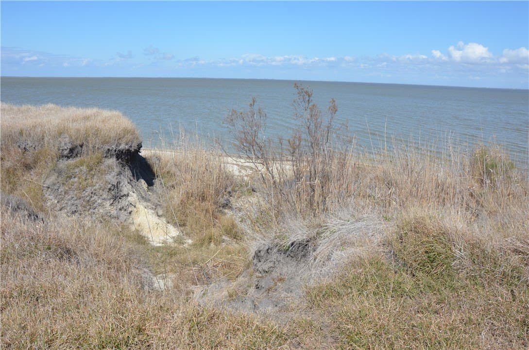 174.4 acres in Refugio County - photo 10
