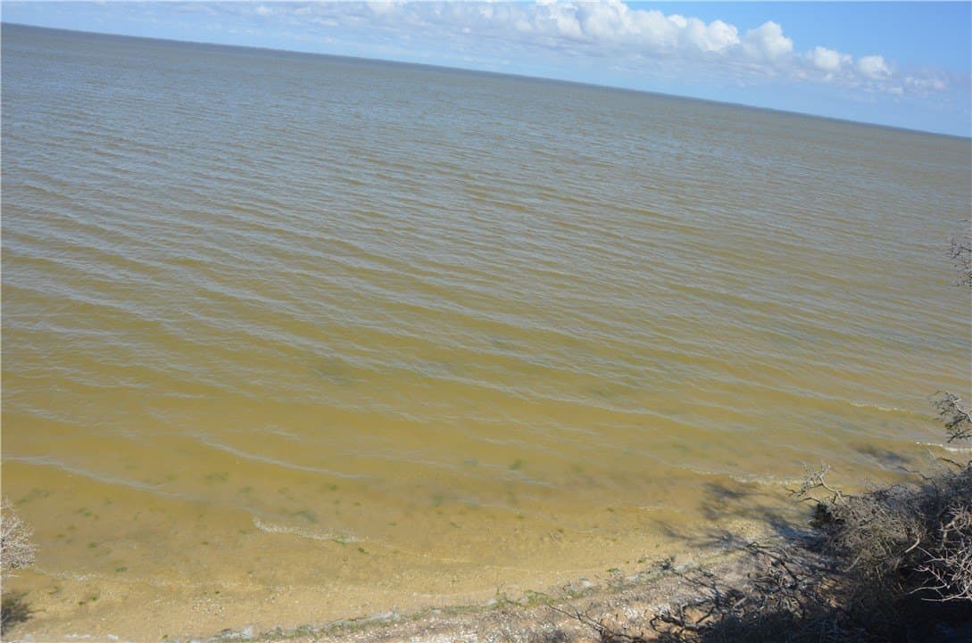 174.4 acres in Refugio County - photo 14