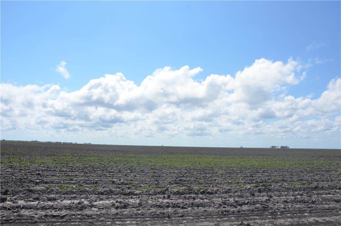 174.4 acres in Refugio County - photo 29