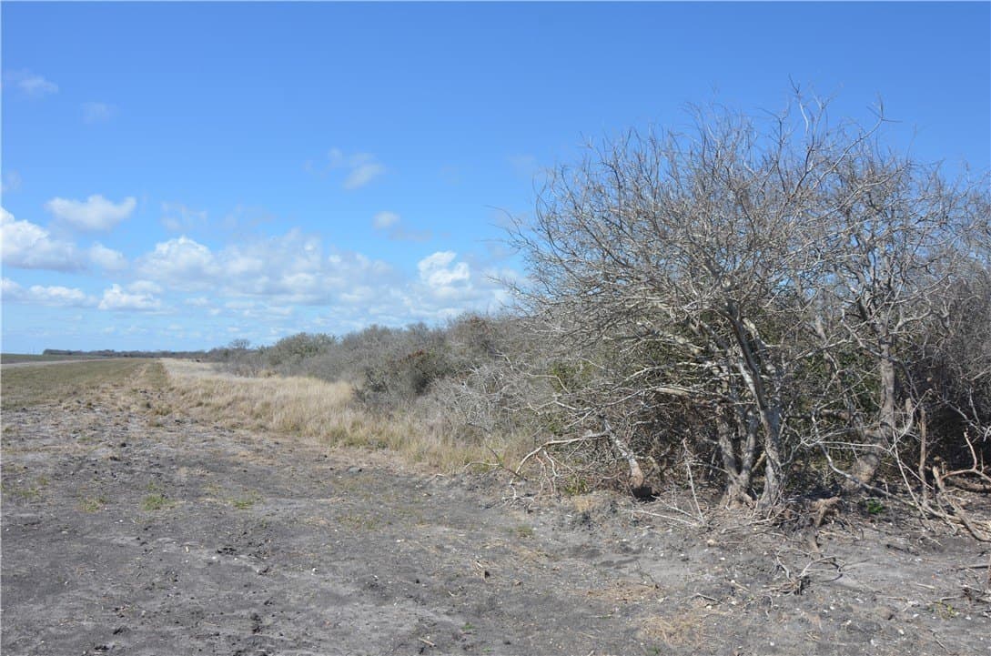 174.4 acres in Refugio County - photo 26