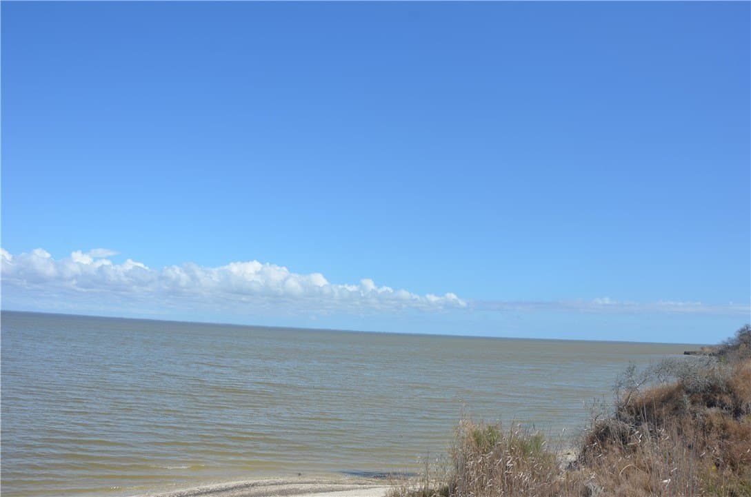 174.4 acres in Refugio County - photo 12