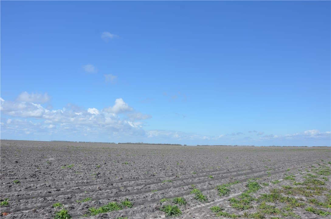 174.4 acres in Refugio County - photo 21
