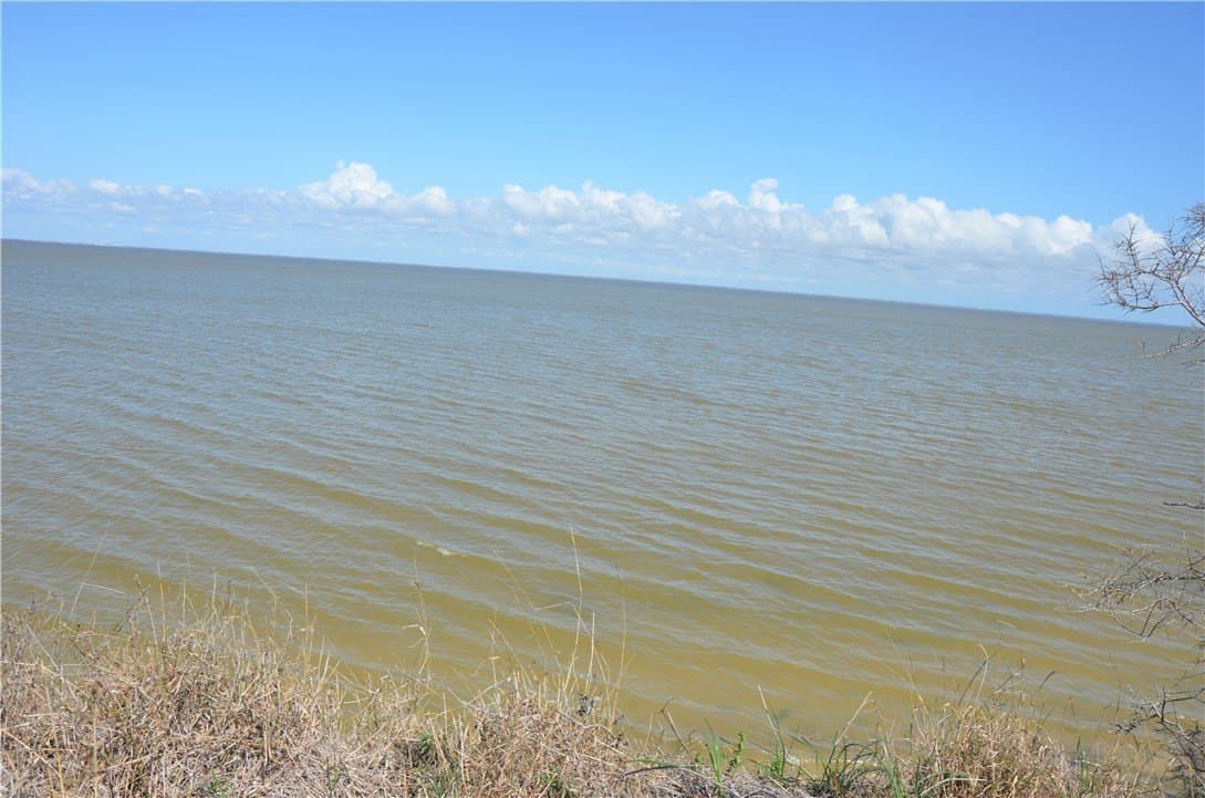 174.4 acres in Refugio County - photo 2