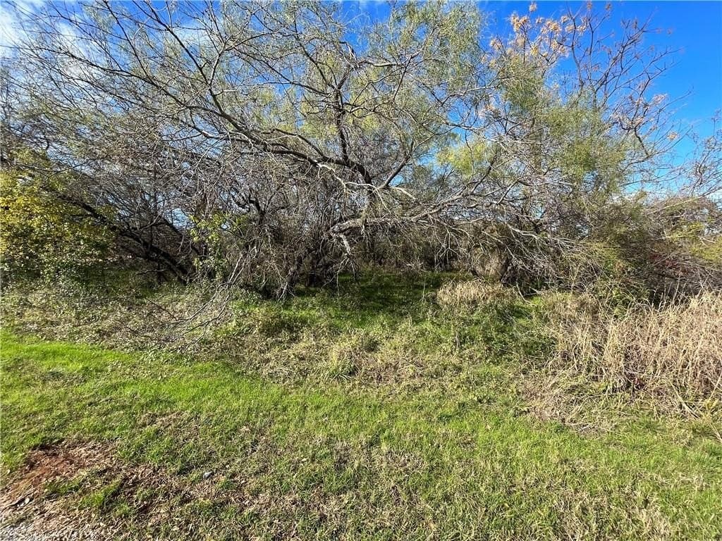 0.26 acres in Hill County - photo 2