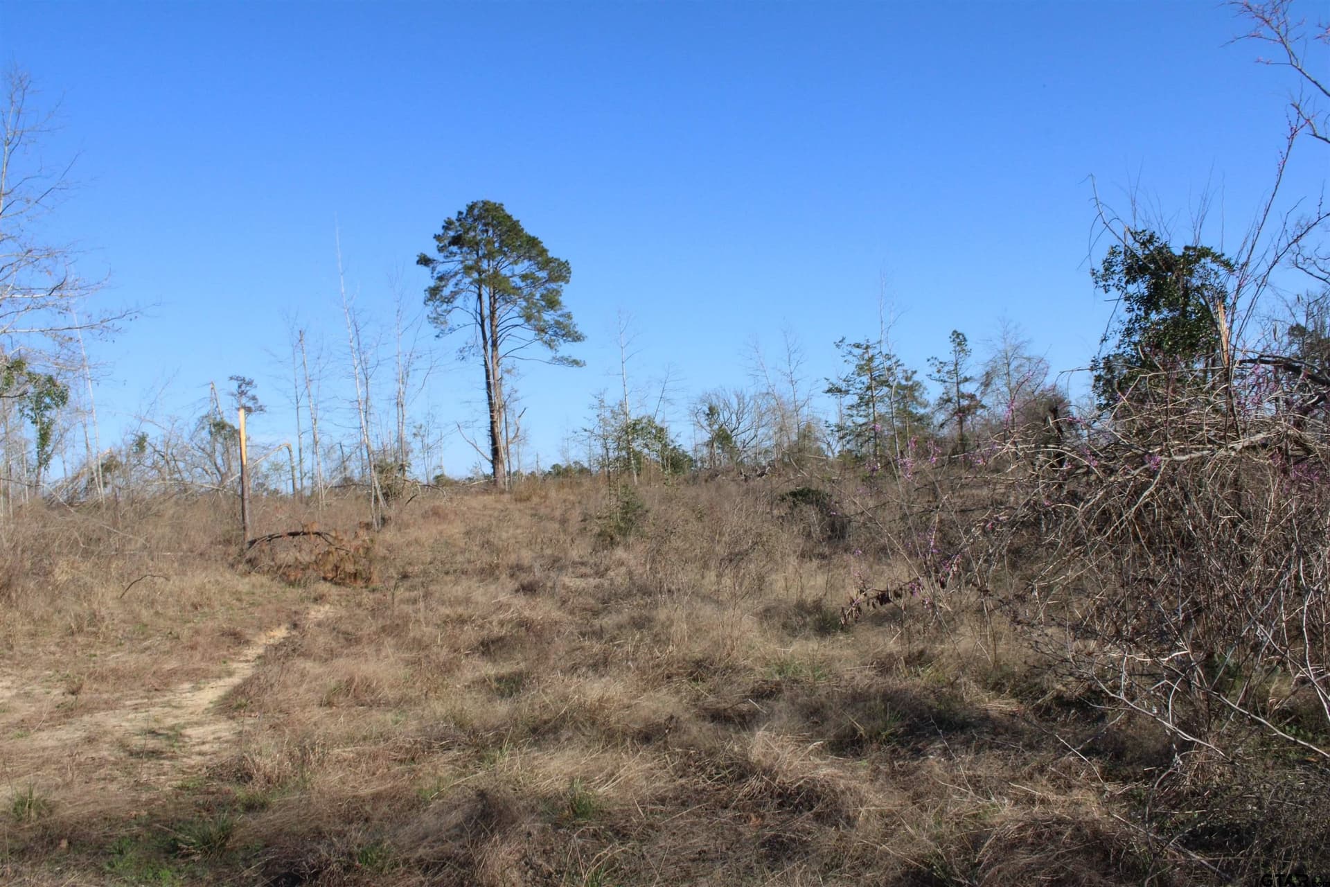 34 acres in Cherokee County - photo 5