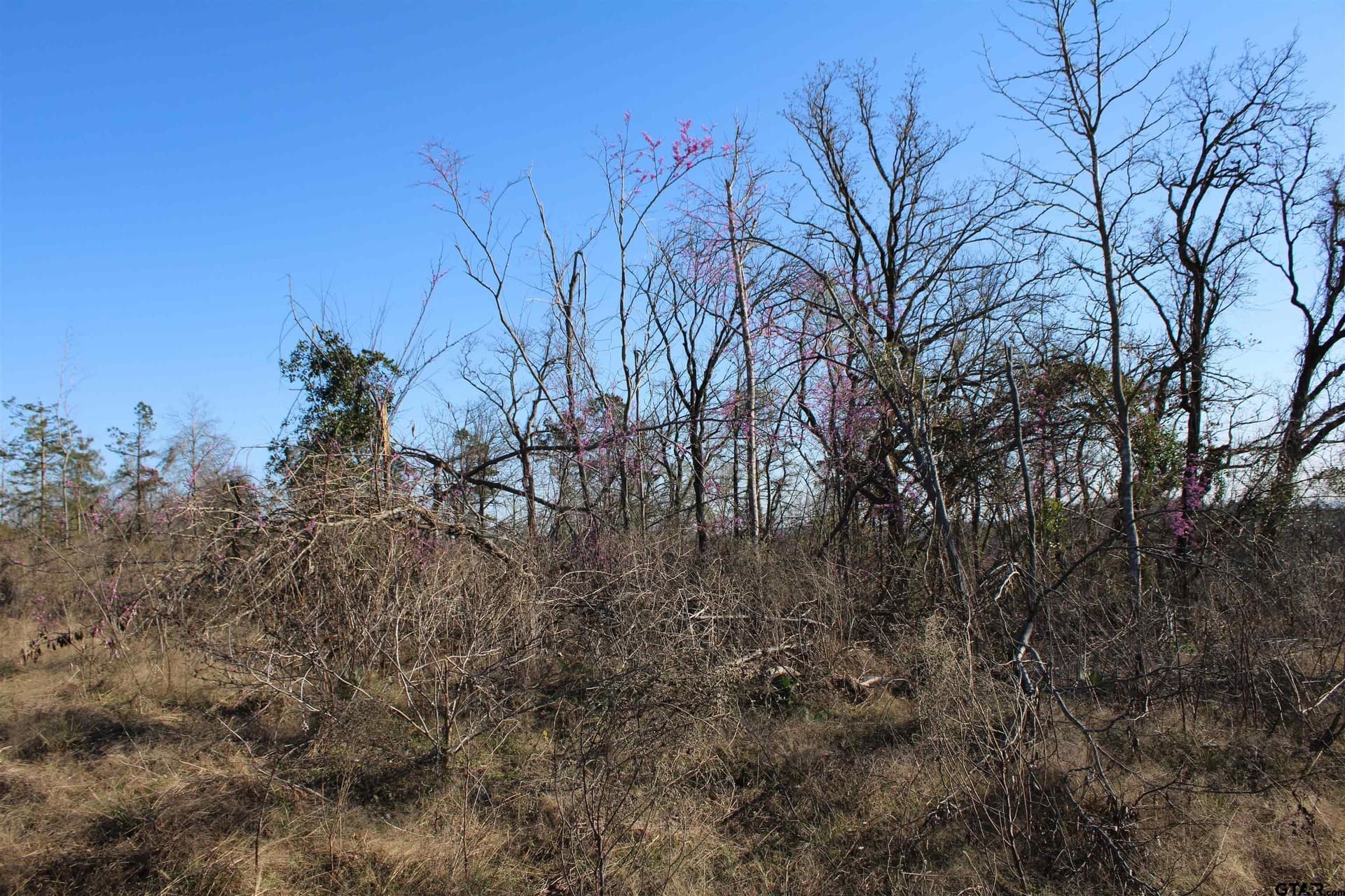34 acres in Cherokee County - photo 4
