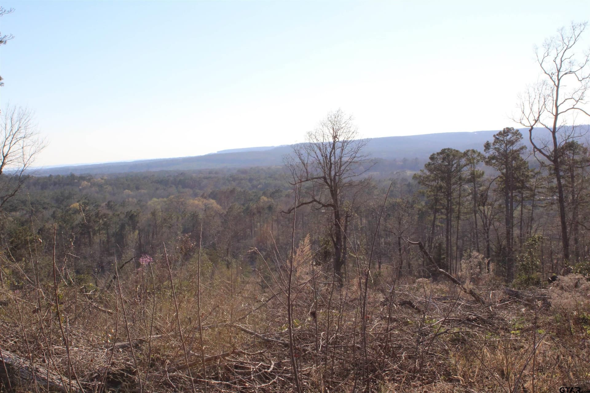 34 acres in Cherokee County - photo 9