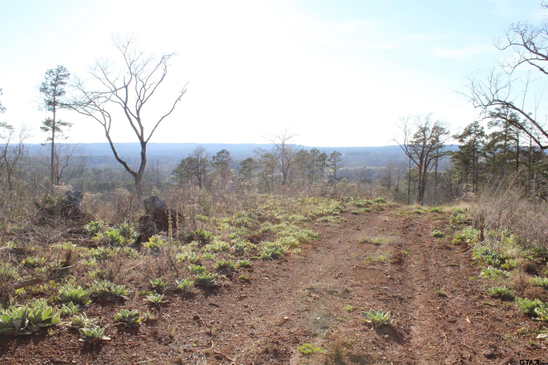 34 acres in Cherokee County - photo 11