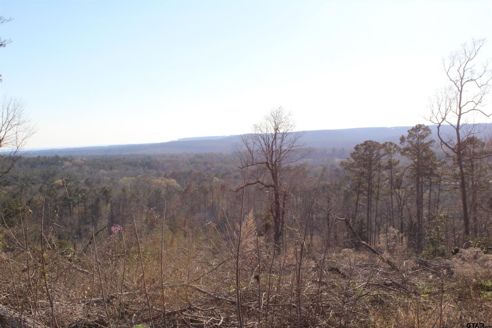 34 acres in Cherokee County - photo 10