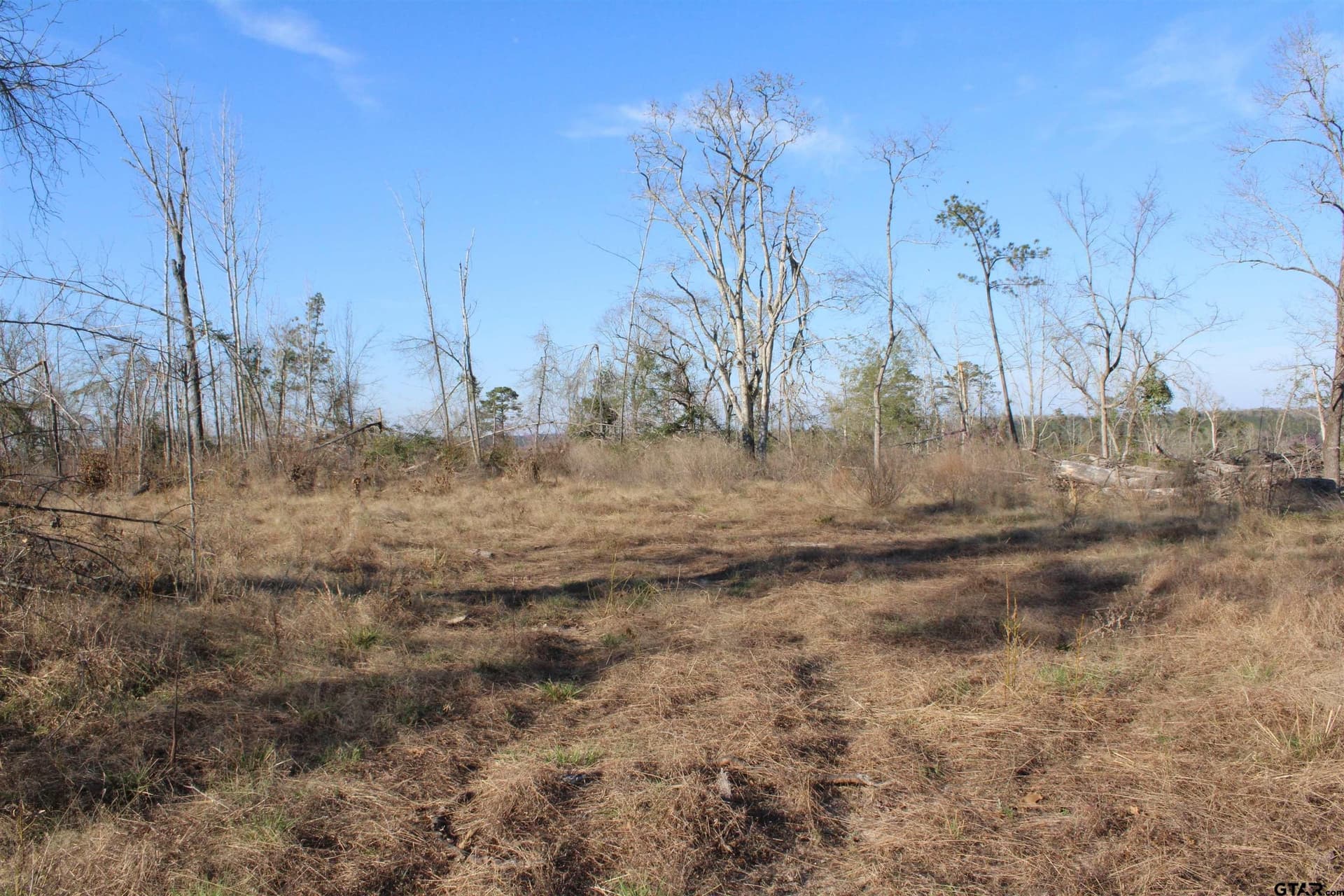 34 acres in Cherokee County - photo 2