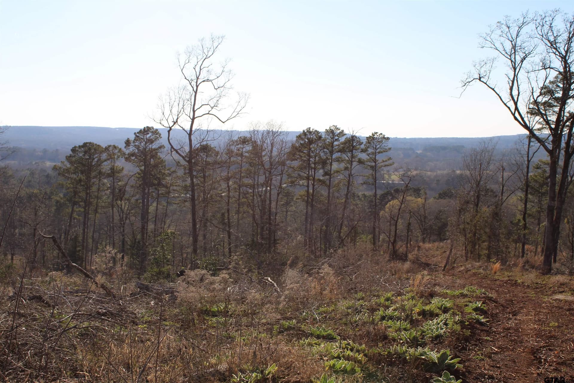 34 acres in Cherokee County - photo 8