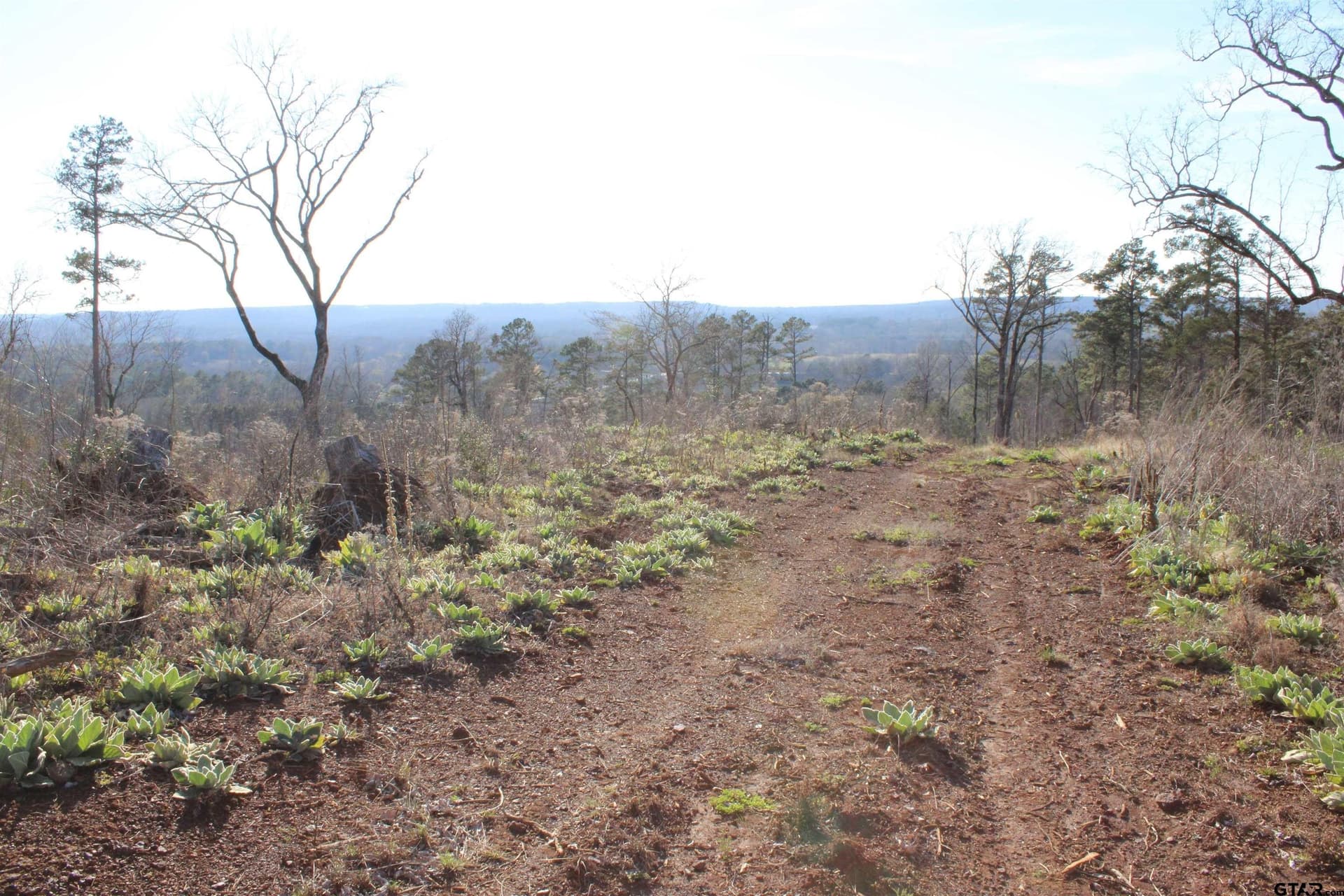 34 acres in Cherokee County - photo 7