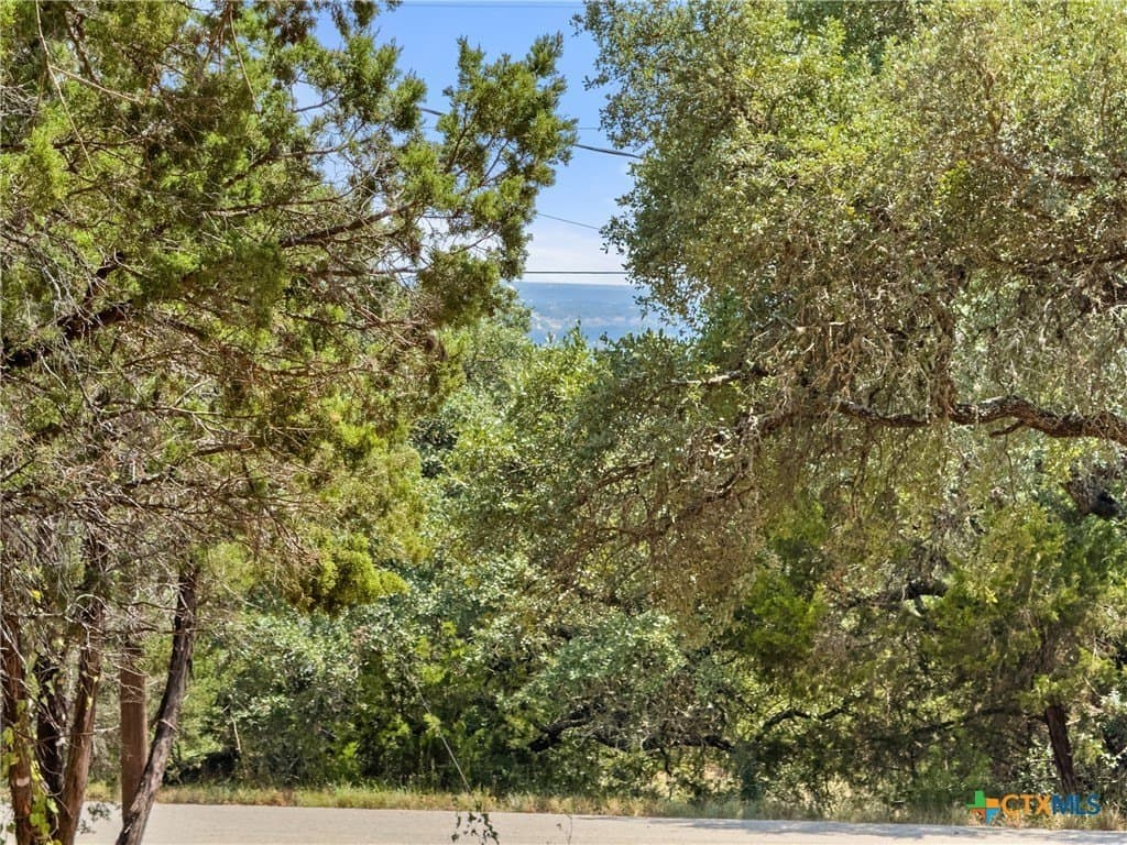 0.19 acres in Comal County - photo 8